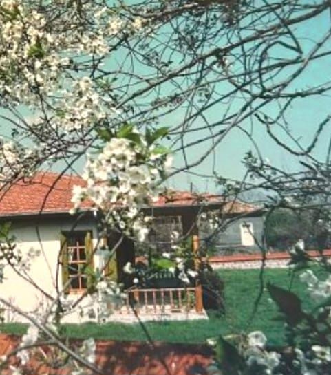 Zekeriyaköy'de yenilenen evlerden biri