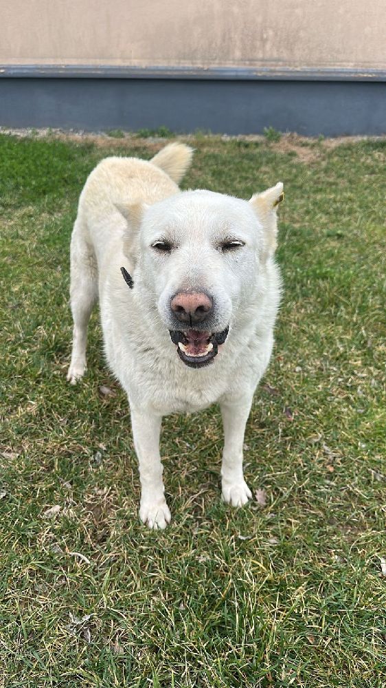 Casper