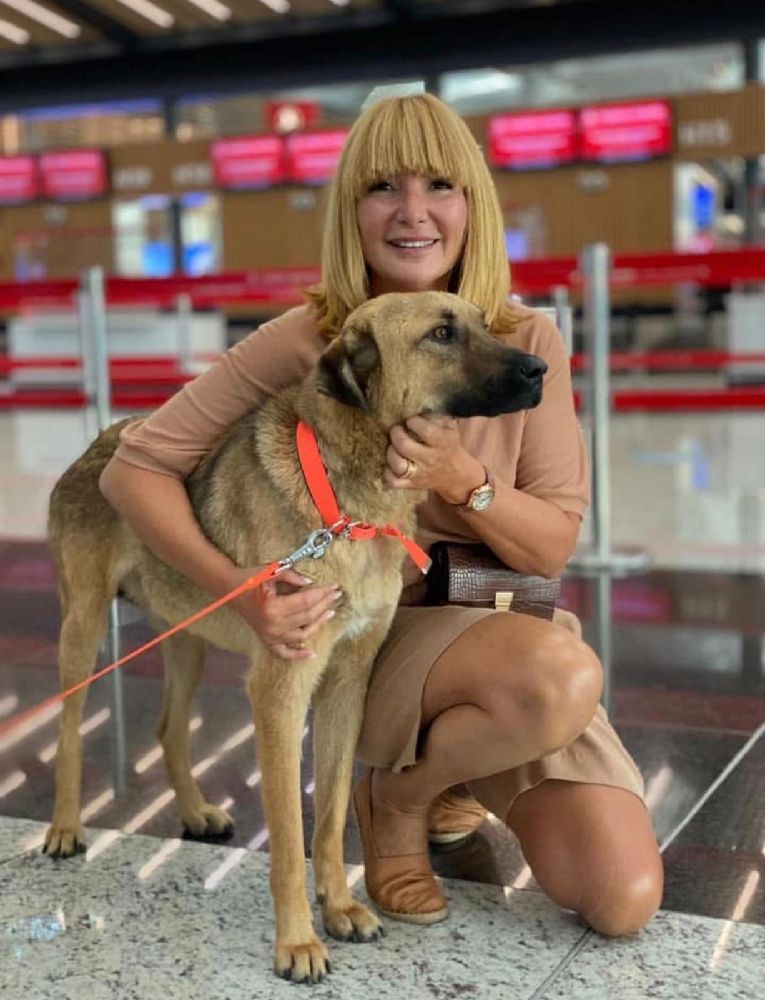Lale ve Kutay