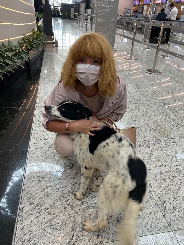 Lale ve Ponpon