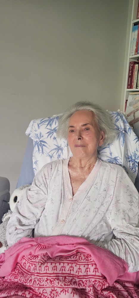 Çiçekli pencerenin önünde duran anne