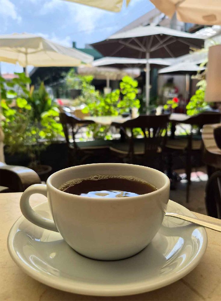 La Via Cafe’de Viyana usulü kahve